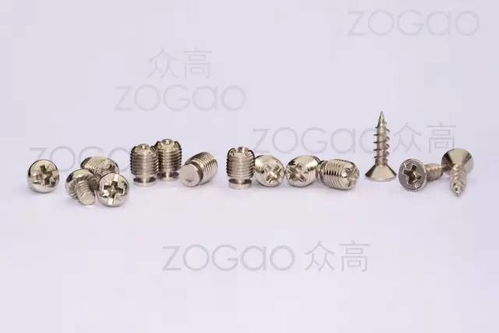 揭東縣埔田鎮(zhèn)東春五金制品廠 新型鉸鏈調(diào)節(jié)螺絲的專業(yè)制造商